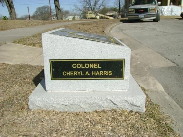 Plaques