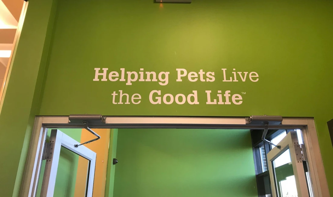 Wall Murals & Graphics