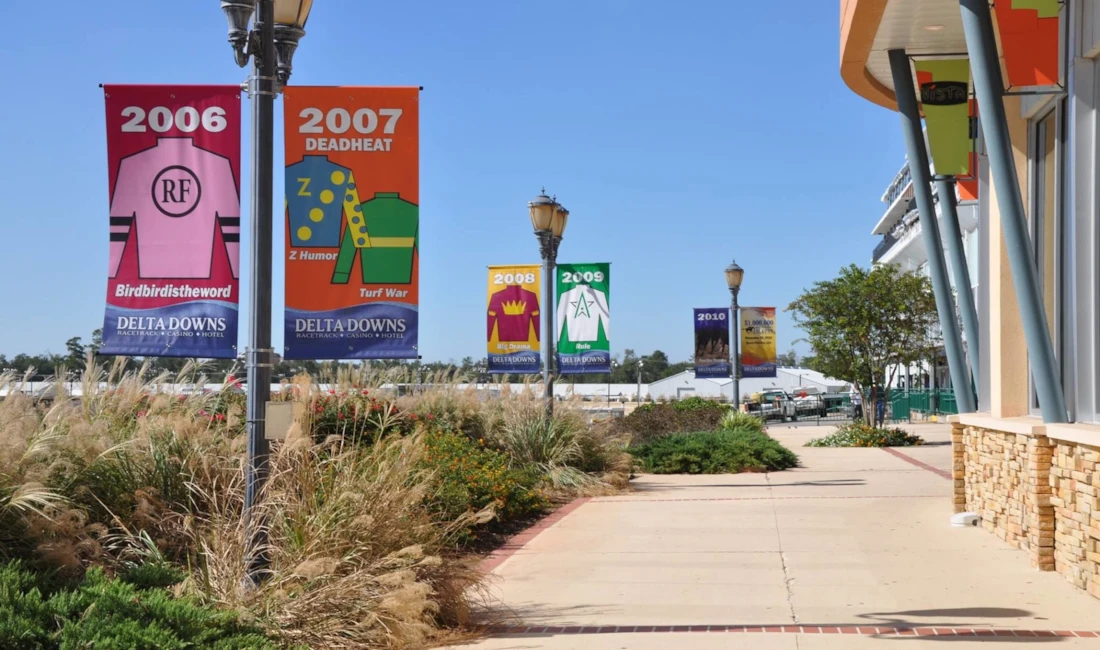 Pole Banners in Santa Rosa