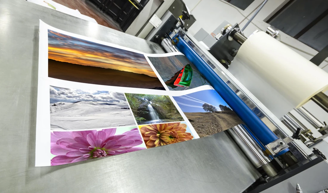 Custom Sign Printing in Santa Rosa