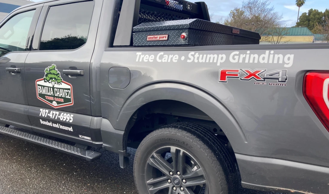 Vehicle Graphics & Lettering