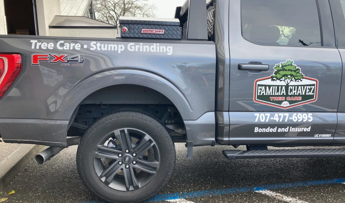 Vehicle Graphics & Lettering
