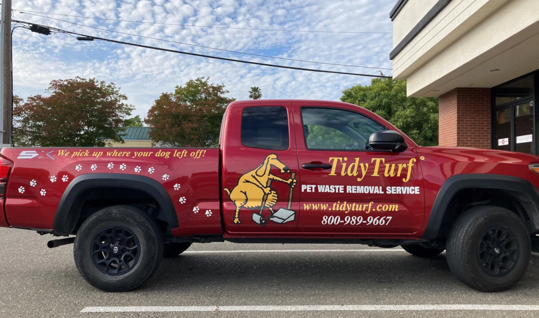 Vehicle Graphics & Lettering