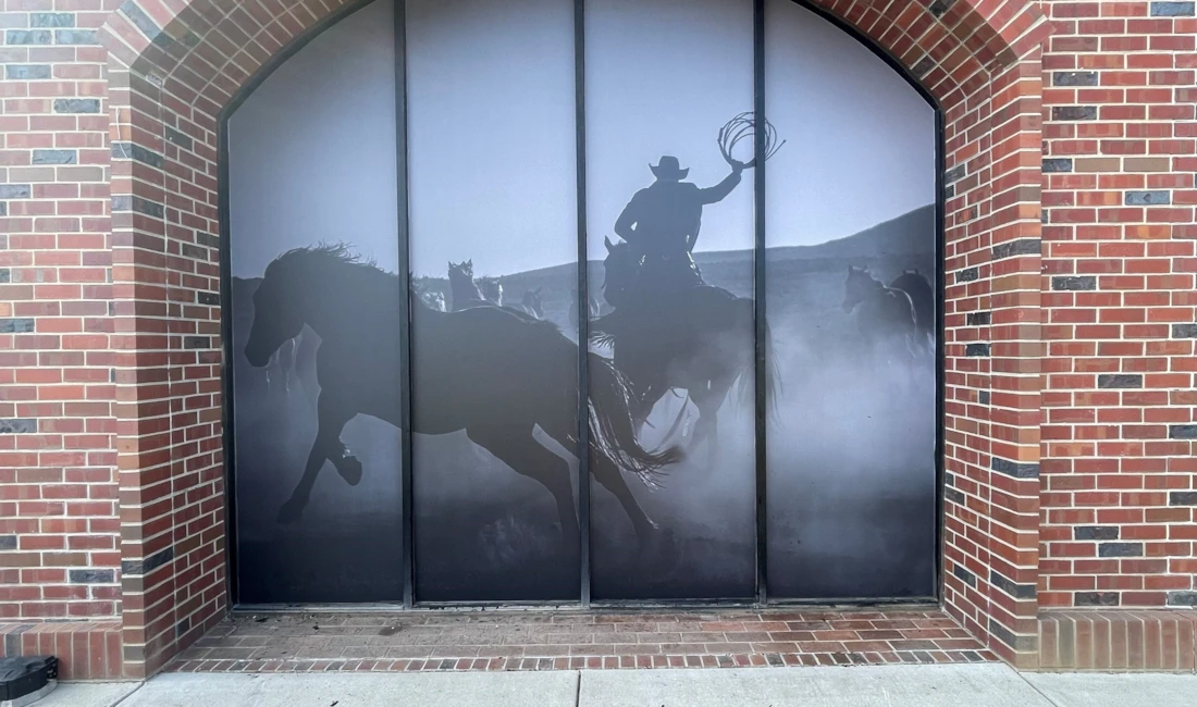 Window Graphics